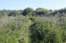zone des étangs de Longpré